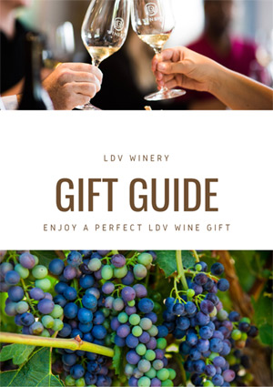 LDV Gift Guide