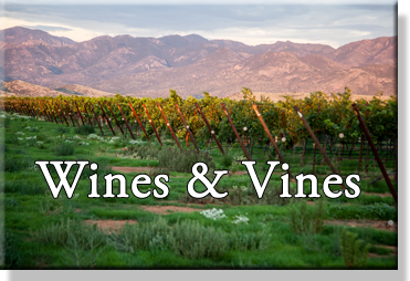 Wines & Vines